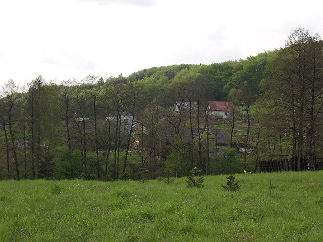galeria/001/003.jpg